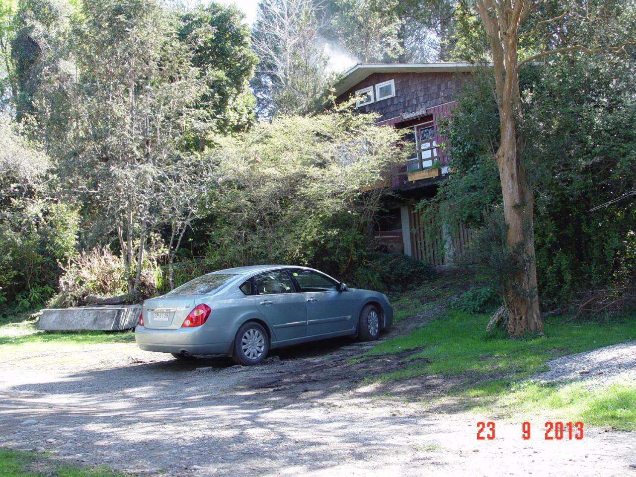 El Bosque Patagonico *