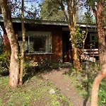Cabañas el Bosque Patagónico