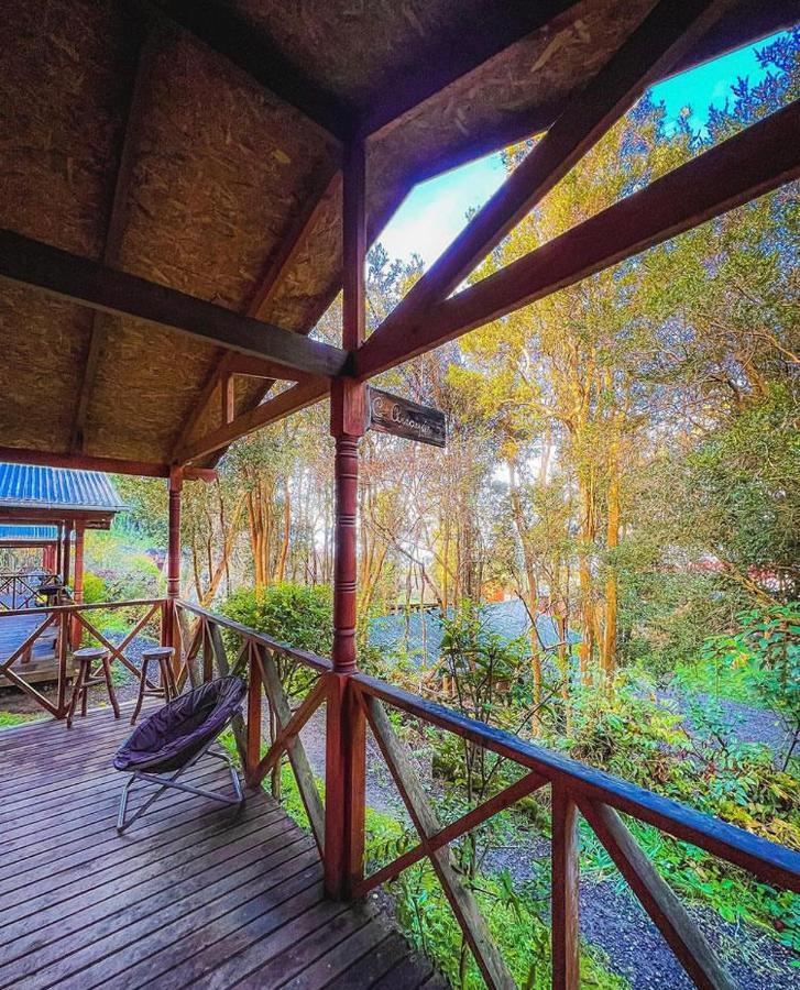 El Bosque Patagonico Alojamento