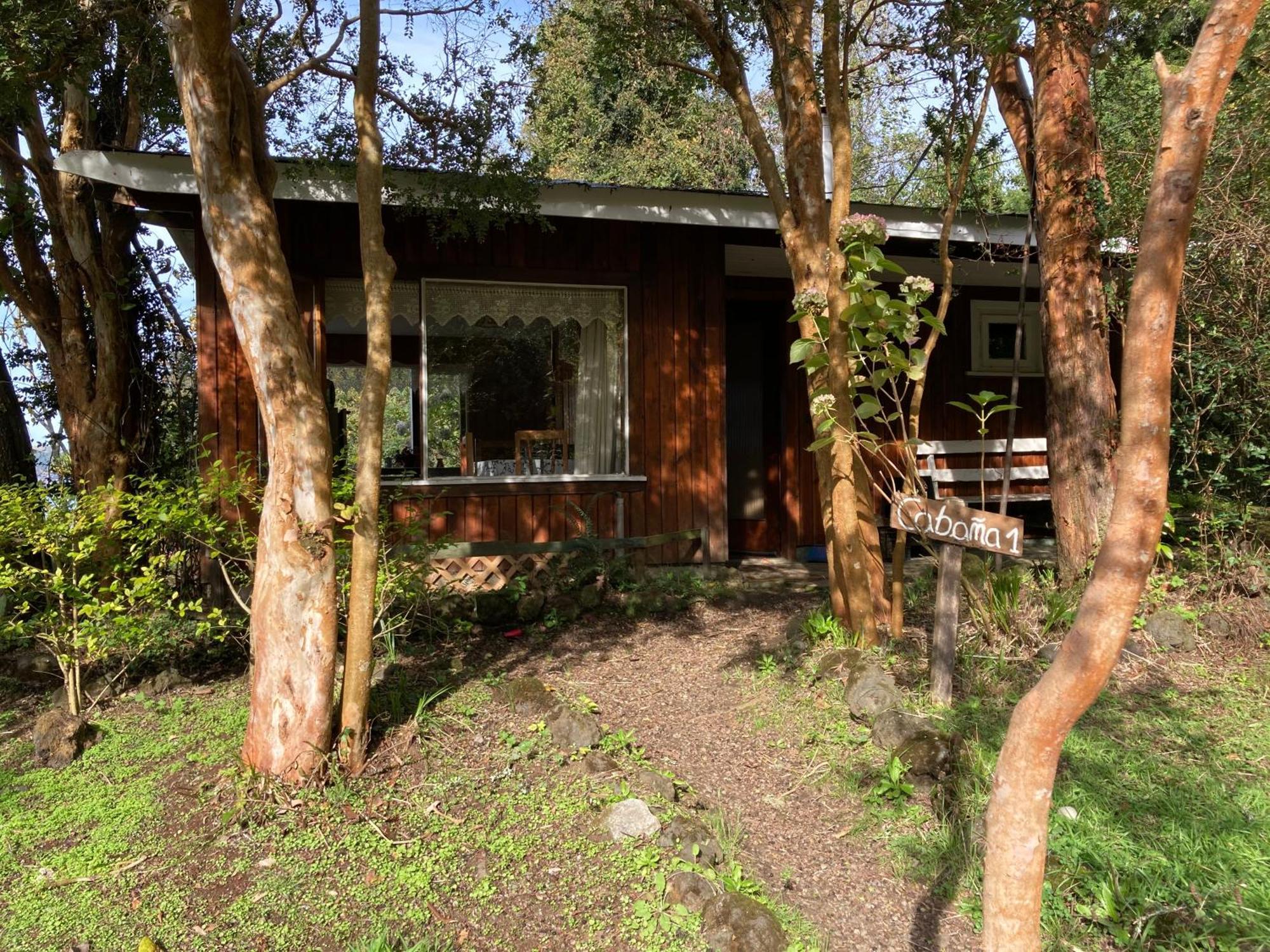 El Bosque Patagonico Frutillar