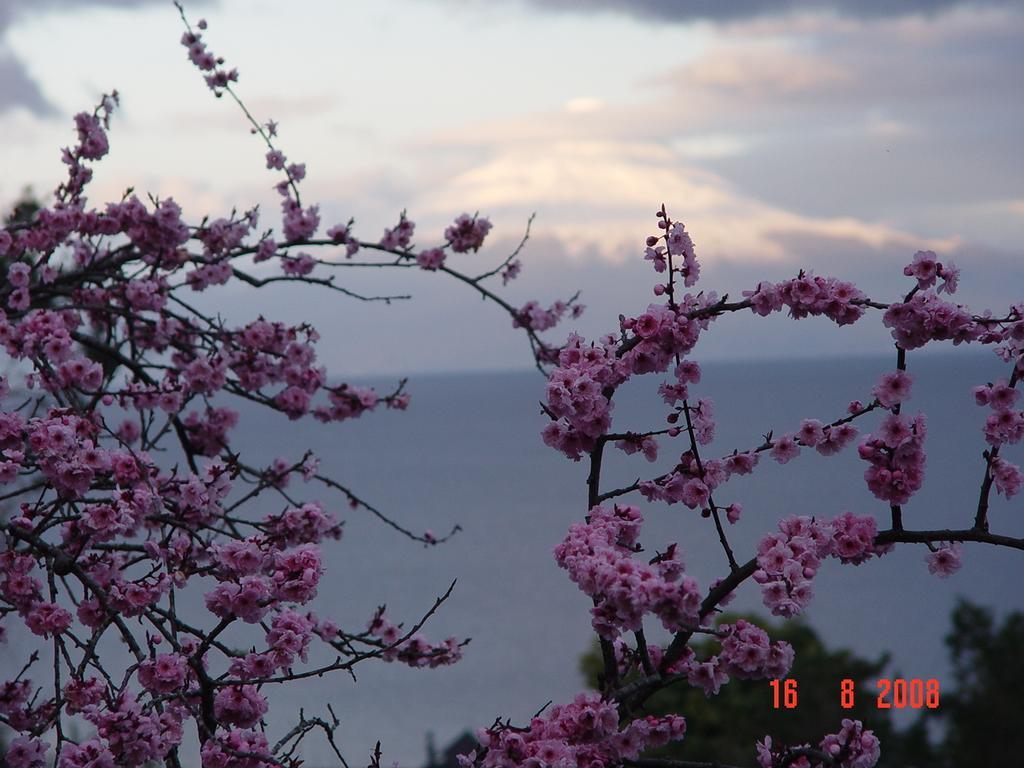 El Bosque Patagonico Alojamento *