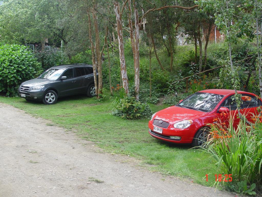 El Bosque Patagonico *