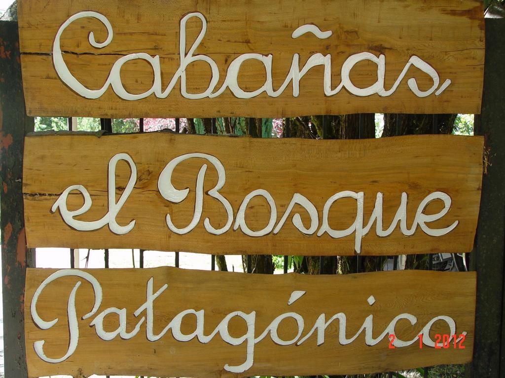 El Bosque Patagonico
