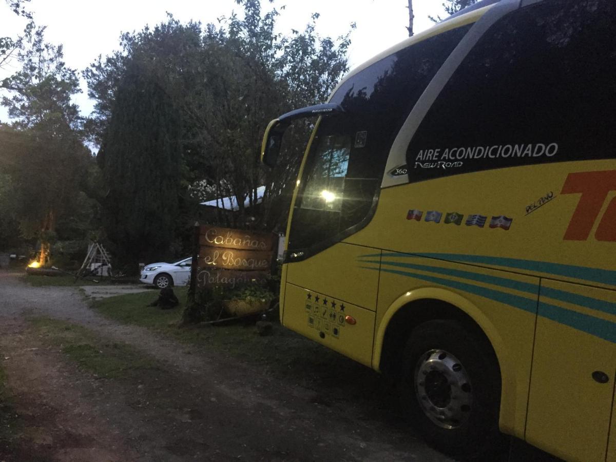 El Bosque Patagonico